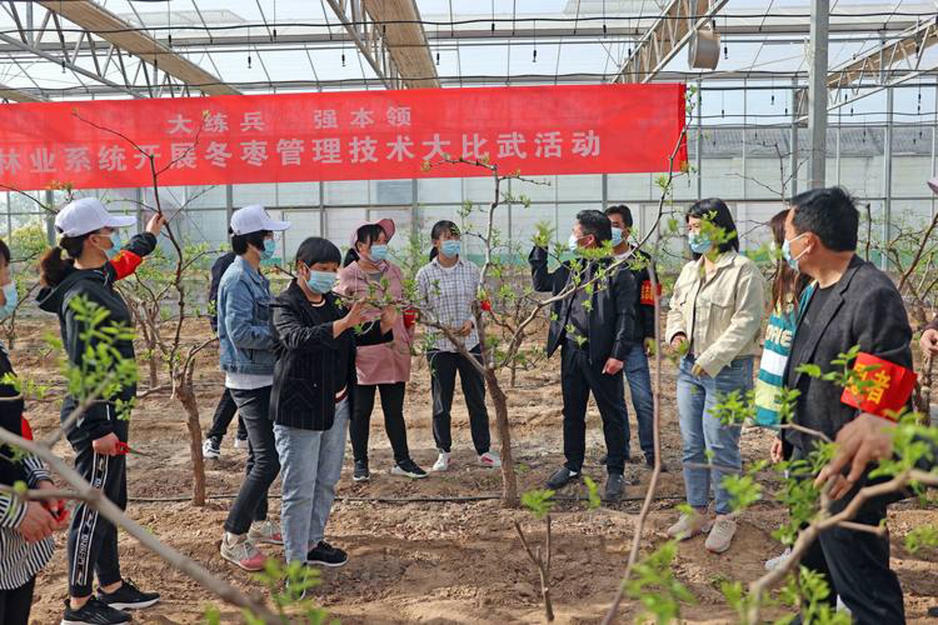 丁枣网络科技